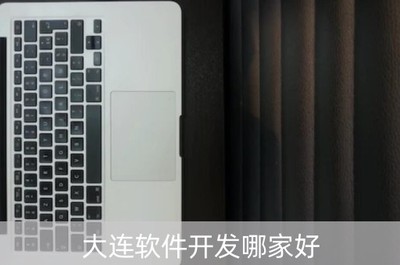 大连软件开发哪家公司值得信赖？深度剖析优质软件公司选择指南